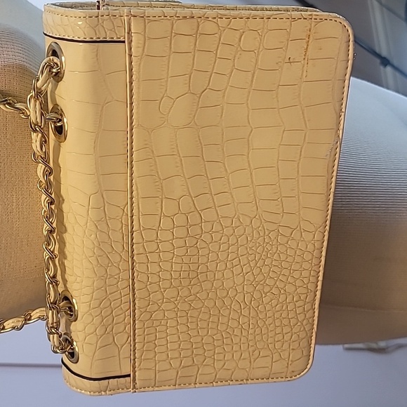 Anne Klein crossbody purse cream croc pattern outside stripes inside chain strap - Picture 6 of 15
